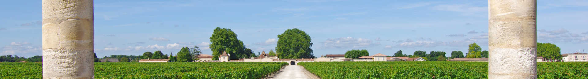 Image for St-Émilion Wine Bordeaux, France content section