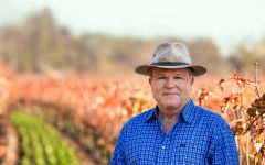 Caymus Chuck Wagner, Owner of Caymus Vineyards Winery Image