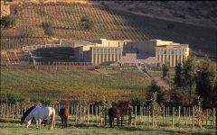 Haras de Pirque Horses grazing in front of vineyard and winery Winery Image