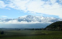 Haras de Pirque Vineyard with snowy Andes mountains Winery Image