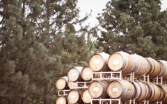 Dobbes Family Estate Winery barrels waiting to be filled. Winery Image