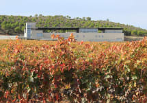 Aalto Aalto Winery in Autumn Winery Image